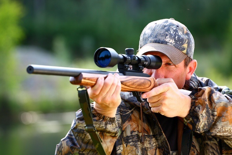 sighting-rifle-deer-hunting.jpg